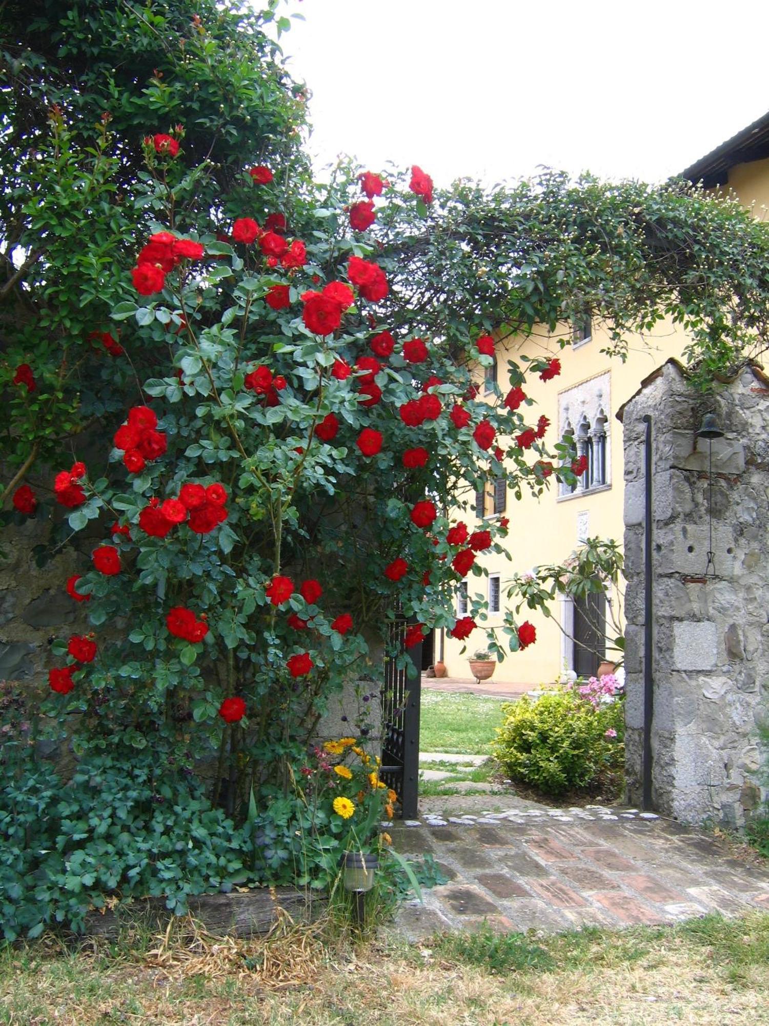 Villa Agriturismo Domus Magna à Povoletto Extérieur photo